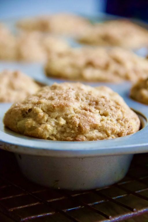 Apple Cinnamon Kodiak Cakes