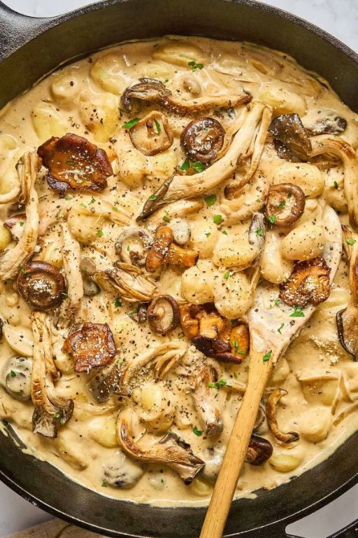 Beef Stroganoff Gnocchi with Parmesan Cheese